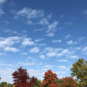 Meet your Posher, Kyla